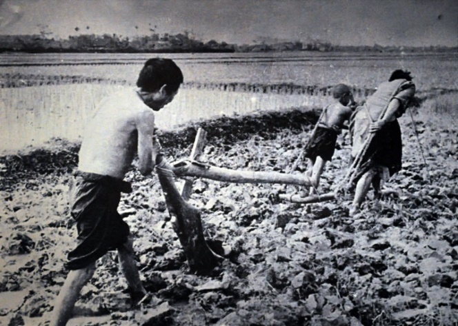 I. MỤC TIÊU BÀI HỌC