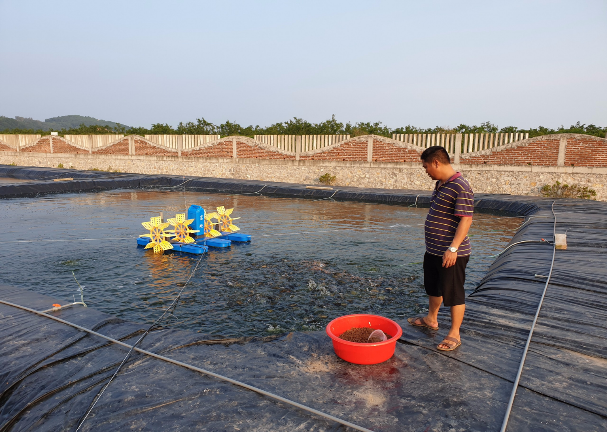 I. MỤC TIÊU