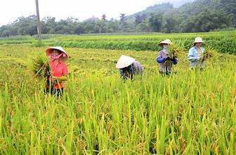 I. YÊU CẦU CẦN ĐẠT