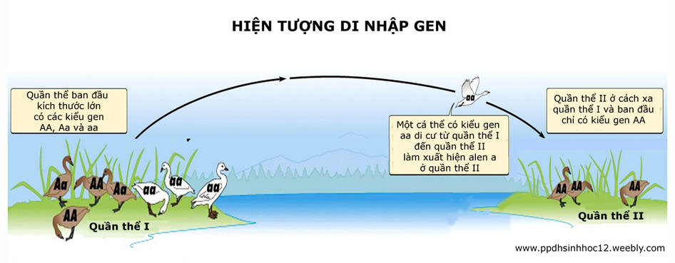 I. MỤC TIÊU