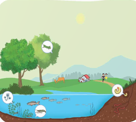 I. YÊU CẦU CẦN ĐẠT