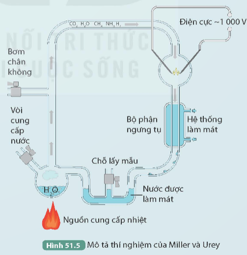 I. MỤC TIÊU