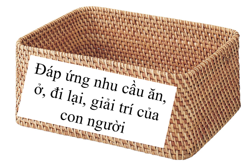 I. YÊU CẦU CẦN ĐẠT