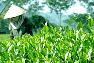 I. YÊU CẦU CẦN ĐẠT