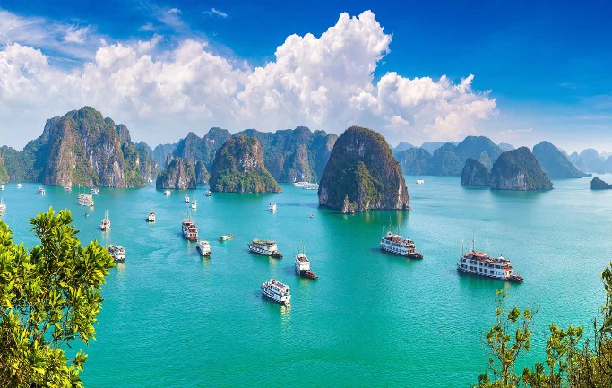 I. MỤC TIÊU
