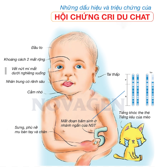 I. MỤC TIÊU