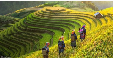 I. YÊU CẦU CẦN ĐẠT