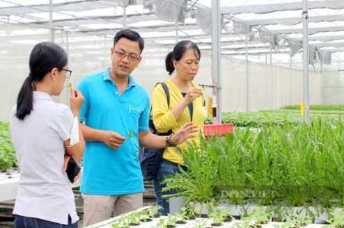 I. MỤC TIÊU