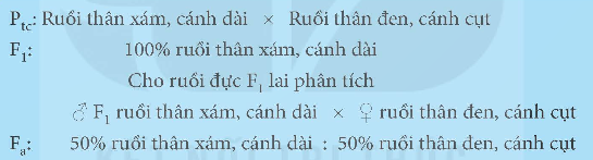 I. MỤC TIÊU