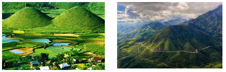 I. MỤC TIÊU