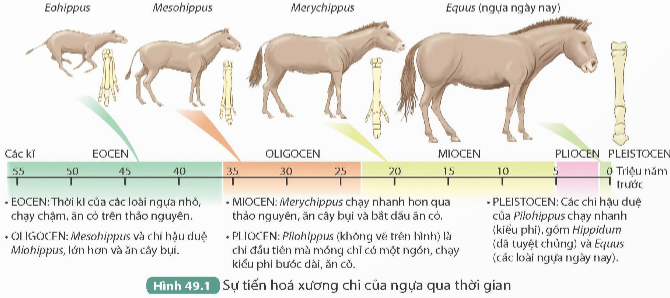 I. MỤC TIÊU