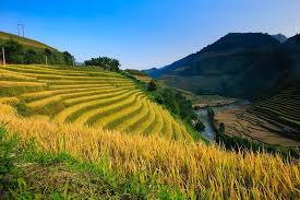 I. YÊU CẦU CẦN ĐẠT