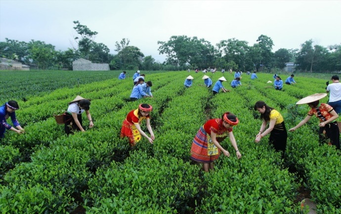 I. MỤC TIÊU BÀI HỌC