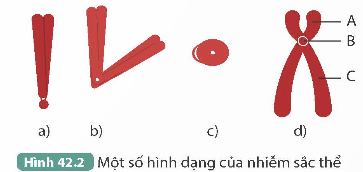 I. MỤC TIÊU