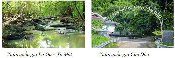 I. MỤC TIÊU