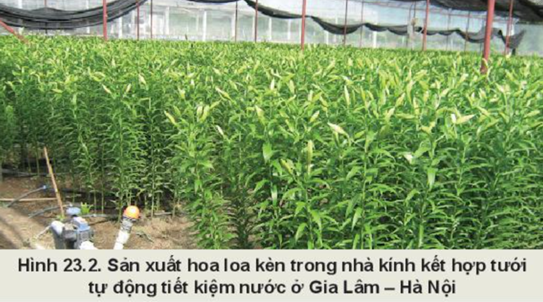 BÀI 23: GIỚI THIỆU VỀ TRỒNG TRỌT CÔNG NGHỆ CAO