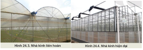 BÀI 24: MỘT SỐ CÔNG NGHỆ CAO TRONG TRỒNG TRỌT