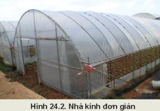 BÀI 24: MỘT SỐ CÔNG NGHỆ CAO TRONG TRỒNG TRỌT