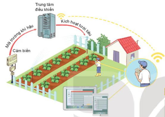 BÀI 24: MỘT SỐ CÔNG NGHỆ CAO TRONG TRỒNG TRỌT