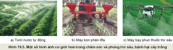 BÀI 19: QUY TRÌNH TRỒNG TRỌT VÀ CƠ GIỚI HOÁ TRONG TRỒNG TRỌT