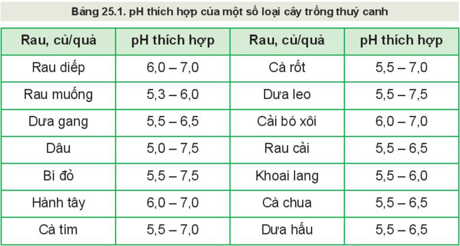 BÀI 25: CÔNG NGHỆ TRỒNG CÂY KHÔNG DÙNG ĐẤT