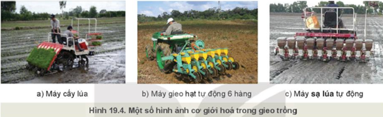 BÀI 19: QUY TRÌNH TRỒNG TRỌT VÀ CƠ GIỚI HOÁ TRONG TRỒNG TRỌT