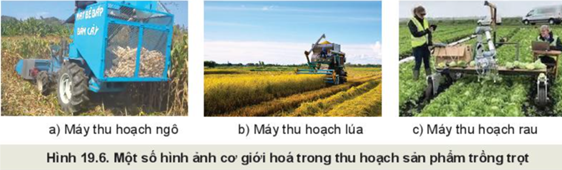 BÀI 19: QUY TRÌNH TRỒNG TRỌT VÀ CƠ GIỚI HOÁ TRONG TRỒNG TRỌT
