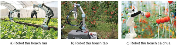 BÀI 20: CÔNG NGHỆ CAO TRONG THU HOẠCH VÀ BẢO QUẢN SẢN PHẨM TRỒNG TRỌT