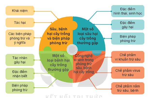 ÔN TẬP CHƯƠNG 5