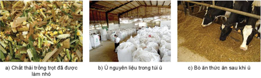 BÀI 27: ỨNG DỤNG CÔNG NGHỆ VI SINH TRONG BẢO VỆ MÔI TRƯỜNG VÀ XỬ LÍ CHẤT THẢI TRỒNG TRỌT