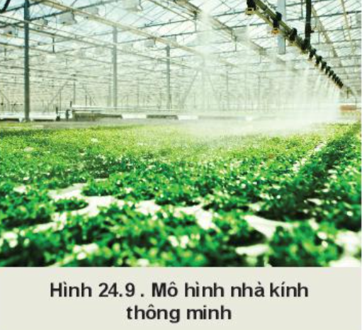 BÀI 24: MỘT SỐ CÔNG NGHỆ CAO TRONG TRỒNG TRỌT