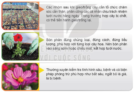 BÀI 22: DỰ ÁN TRỒNG HOA TRONG CHẬU