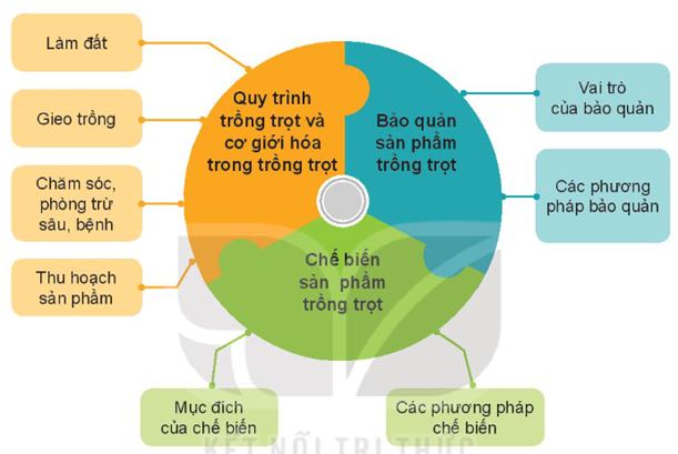 ÔN TẬP CHƯƠNG 6