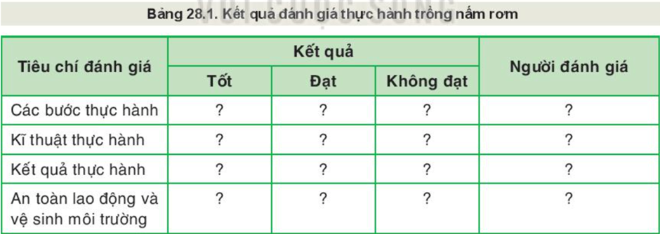 BÀI 28: THỰC HÀNH: SỬ DỤNG RƠ, RẠ ĐỂ TRỒNG NẤM RƠM