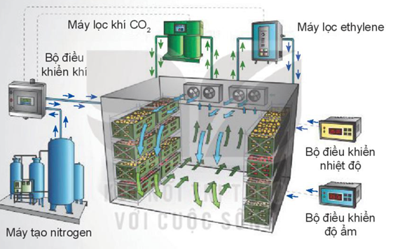 BÀI 20: CÔNG NGHỆ CAO TRONG THU HOẠCH VÀ BẢO QUẢN SẢN PHẨM TRỒNG TRỌT