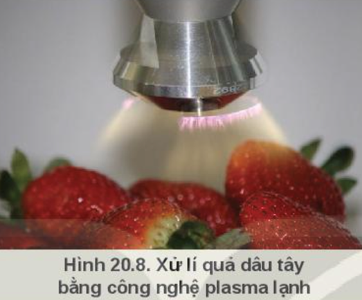 BÀI 20: CÔNG NGHỆ CAO TRONG THU HOẠCH VÀ BẢO QUẢN SẢN PHẨM TRỒNG TRỌT