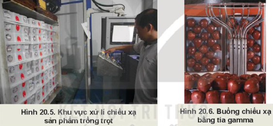 BÀI 20: CÔNG NGHỆ CAO TRONG THU HOẠCH VÀ BẢO QUẢN SẢN PHẨM TRỒNG TRỌT