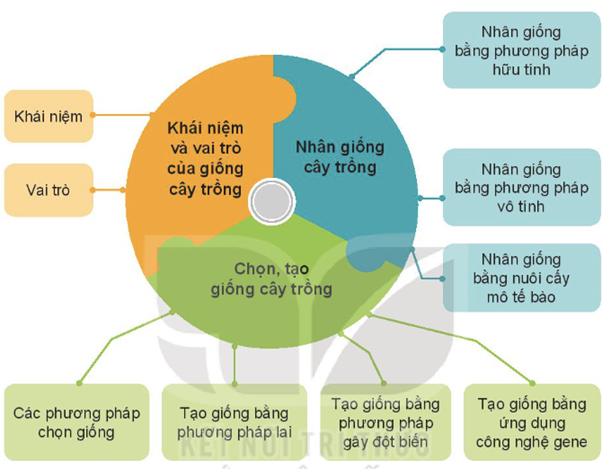 ÔN TẬP CHƯƠNG 4