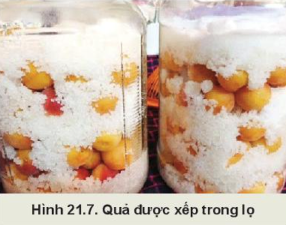 BÀI 21: CHẾ BIẾN SẢN PHẨM TRỒNG TRỌT