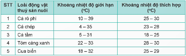 kenhhoctap