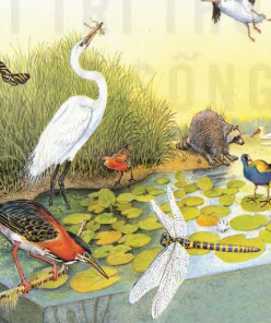 BÀI 37: THỰC HÀNH: QUAN SÁT VÀ NHẬN BIẾT MỘT SỐ NHÓM ĐỘNG VẬT NGOÀI THIÊN NHIÊN