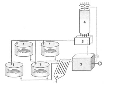 kenhhoctap