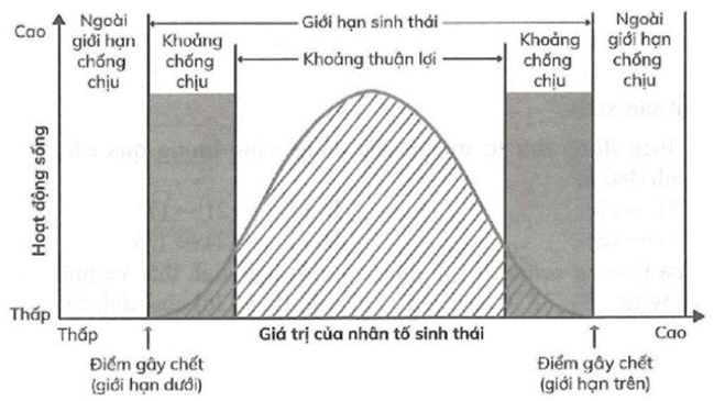 kenhhoctap