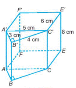 BÀI TẬP ÔN TẬP CUỐI NĂM