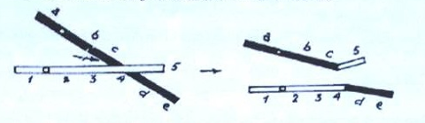 BÀI 42: NHIỄM SẮC THỂ VÀ BỘ NHIỄM SẮC THỂ