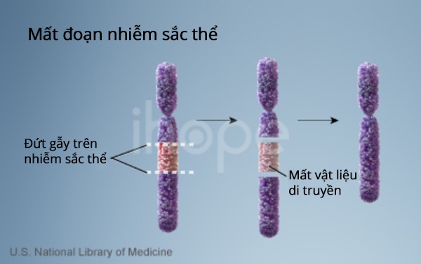 BÀI 46: ĐỘT BIẾN NHIỄM SẮC THỂ