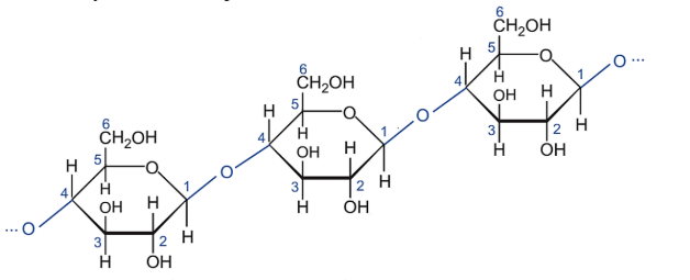 BÀI 6: TINH BỘT VÀ CELLULOSE
