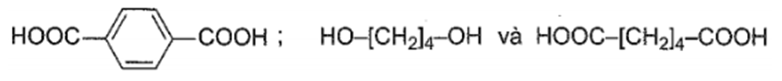 BÀI 13: VẬT LIỆU POLYMER
