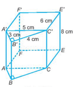 BÀI TẬP CUỐI CHƯƠNG 10
