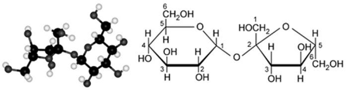 BÀI 5: SACCHROSE VÀ MALTOSE